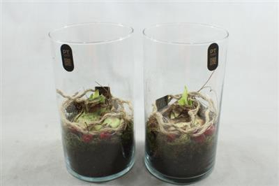 <h4>2905 XL AMAR HOOG GLAS+LED</h4>