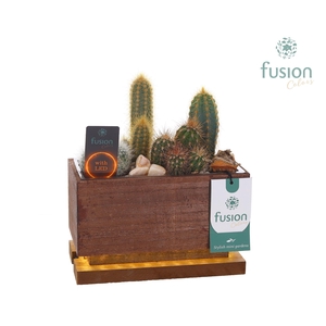 The Green Lighting Garden LED Small lang met Cactus