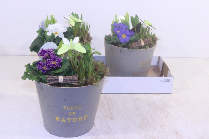 <h4>ARR TUINPLANTEN</h4>