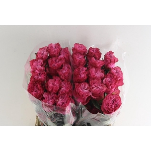 R Gr Country Blues ***