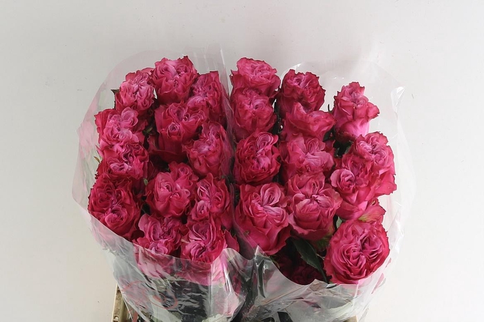 <h4>R Gr Country Blues ***</h4>