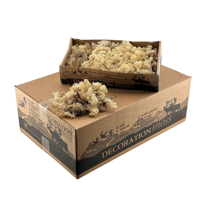 <h4>Ijslandsmos Sepia</h4>