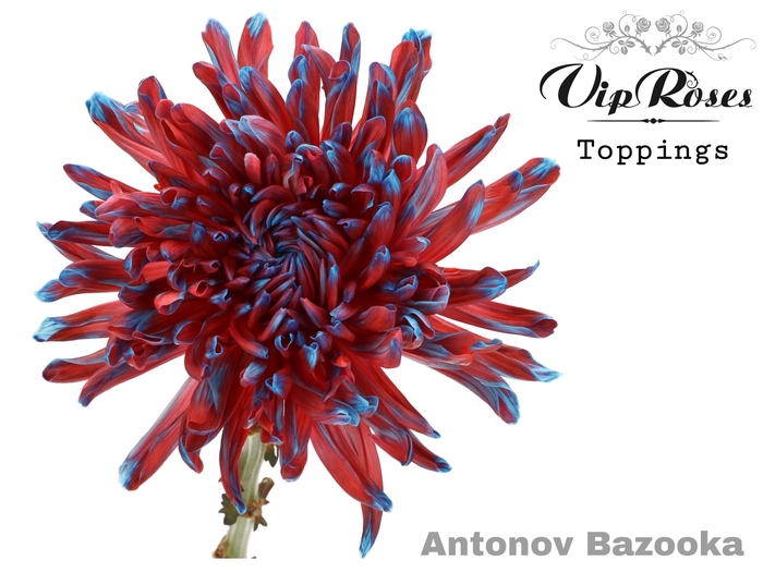 CHR G ANTONOV BAZOOKA