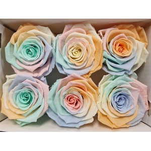 Ro Pres Classic Rainbow Pastel