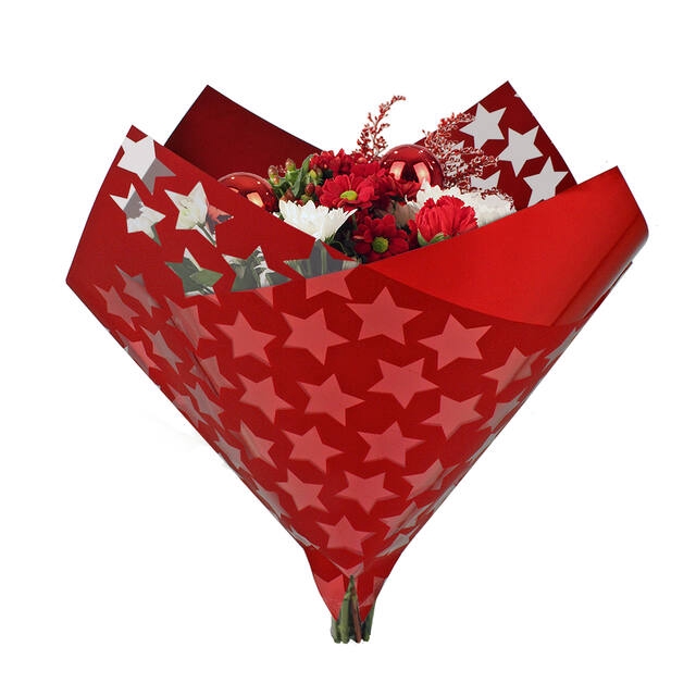 <h4>Hoes 35x35cm OPP40/MOPP40 Oblique Clear Stars rood 500/doos</h4>