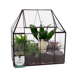 Metaal Geometrisch Medium planter met Terrarium
