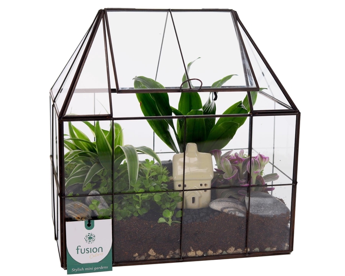 <h4>Metaal Geometrisch Medium planter met Terrarium</h4>