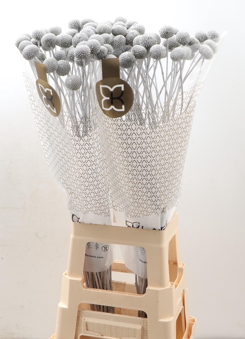 <h4>CRAS KLB H%</h4>