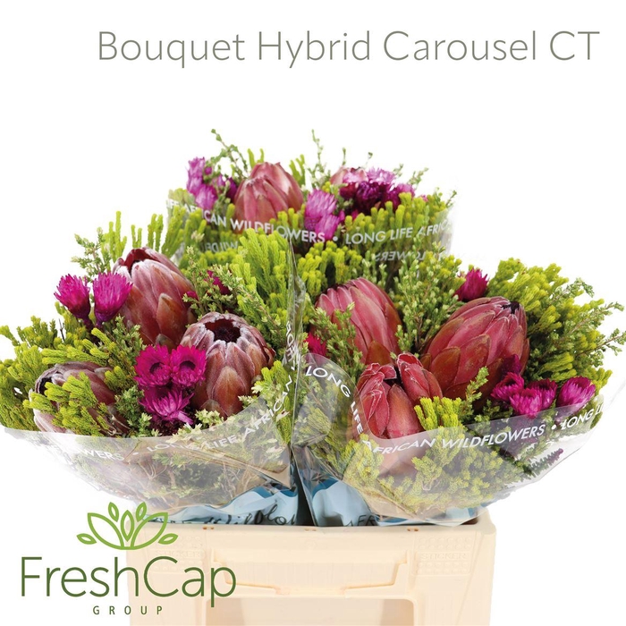<h4>Bouquet Hybrid Carousel Colour Treated</h4>