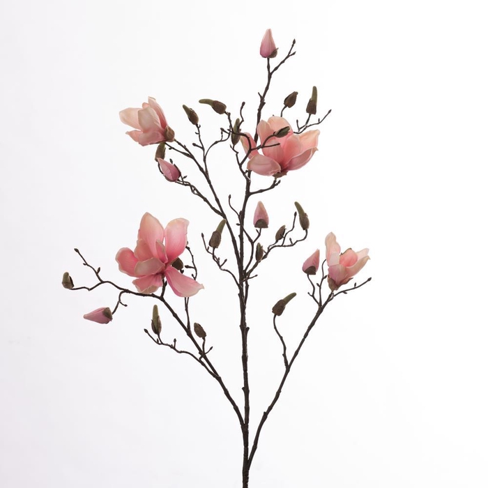 <h4>AF Magnolia L109cm Pink</h4>
