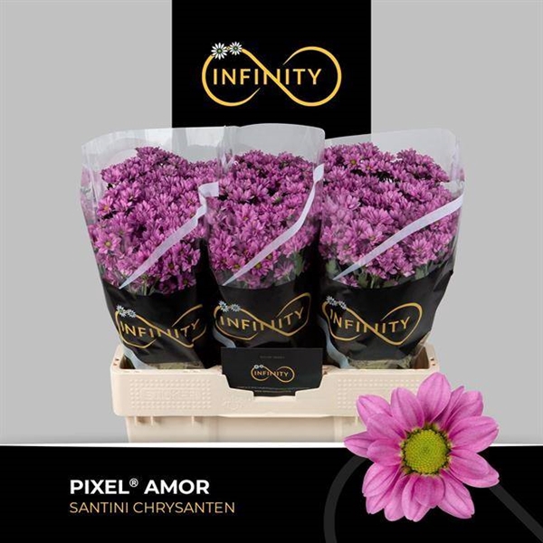 <h4>CHR SAN PIXEL AMOR</h4>