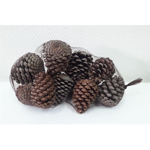 Maritima's net naturel