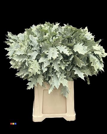 <h4>Eikeblad Frosted Mint 80cm</h4>