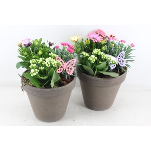arr4 Outdoor MB - Ker. bloempot choco