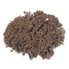 Iron Bush 40-50cm p/pc Natural