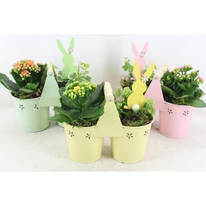 arr2 JS - Zink 2plant hengsel mix