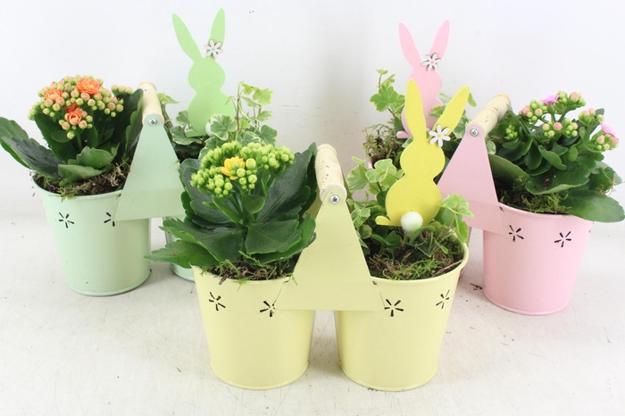 <h4>arr2 JS - Zink 2plant hengsel mix</h4>