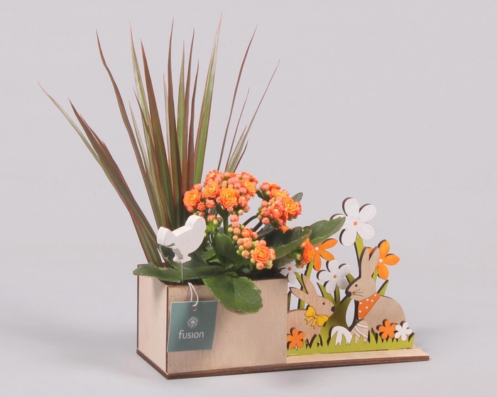 <h4>Pasen Haas hout met Arrangement</h4>