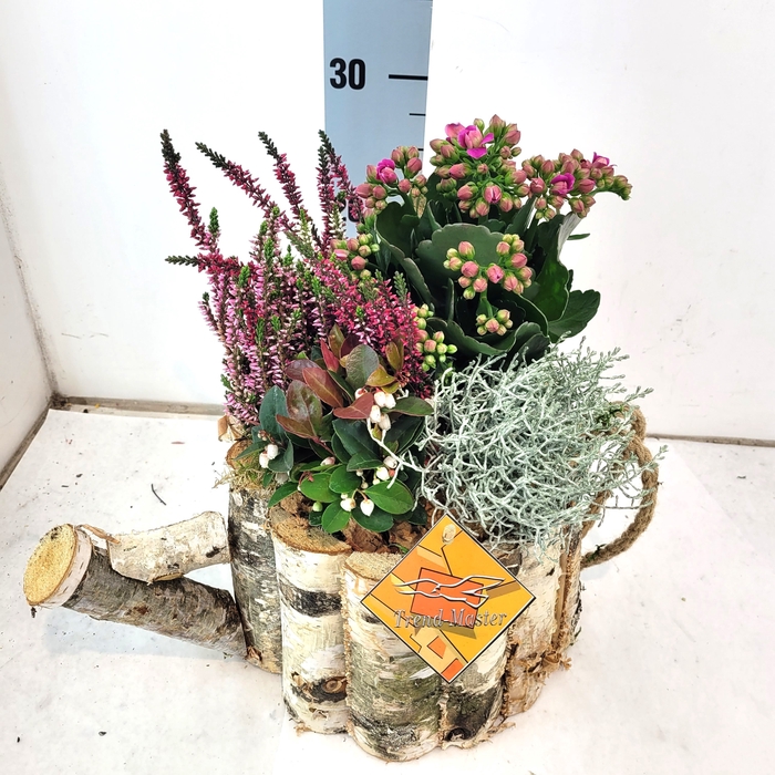<h4>ARR TUINPLANTEN</h4>