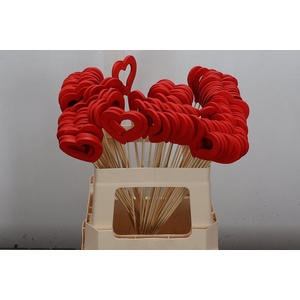 Hartje Op Stok H% Rood X100