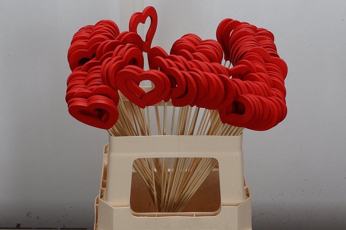 <h4>Hartje Op Stok H% Rood X100</h4>