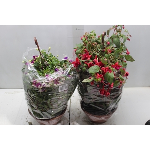 BRINCO DE PRINCESA C21