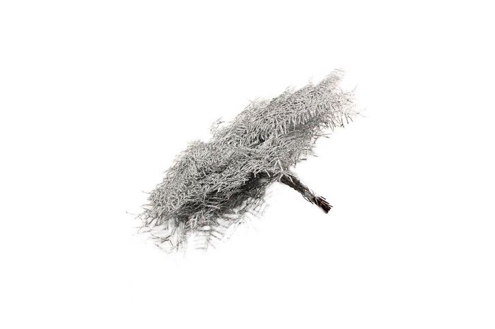 <h4>Koraalvaren Zilver</h4>