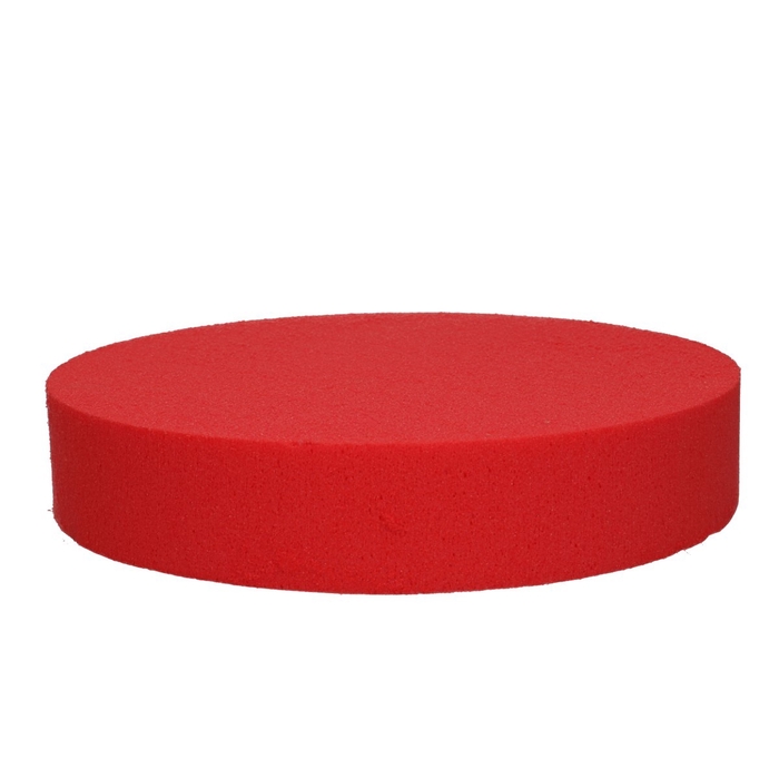 <h4>Oasis Kleur Cake d25*5cm</h4>