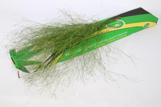 <h4>Emu Feather (air) x10</h4>