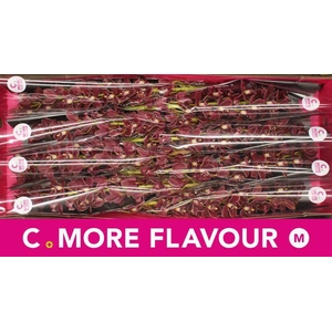 CYMBIDIUM MINI 'SULTAN' 70 CM*