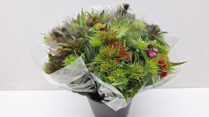<h4>Mono Duizendschoon gem pbos</h4>