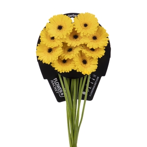 Germini Pacman Flowerracket