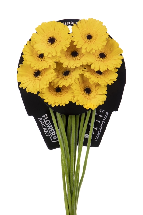 Germini Pacman Flowerracket