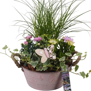 PTPP6802 Arrangement Patio in metalen bak