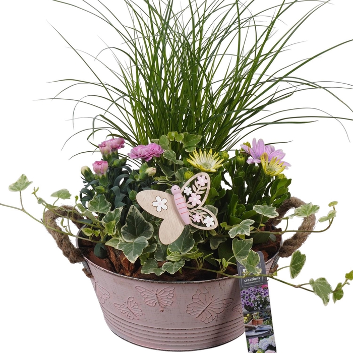 <h4>PTPP6802 Arrangement Patio in metalen bak</h4>
