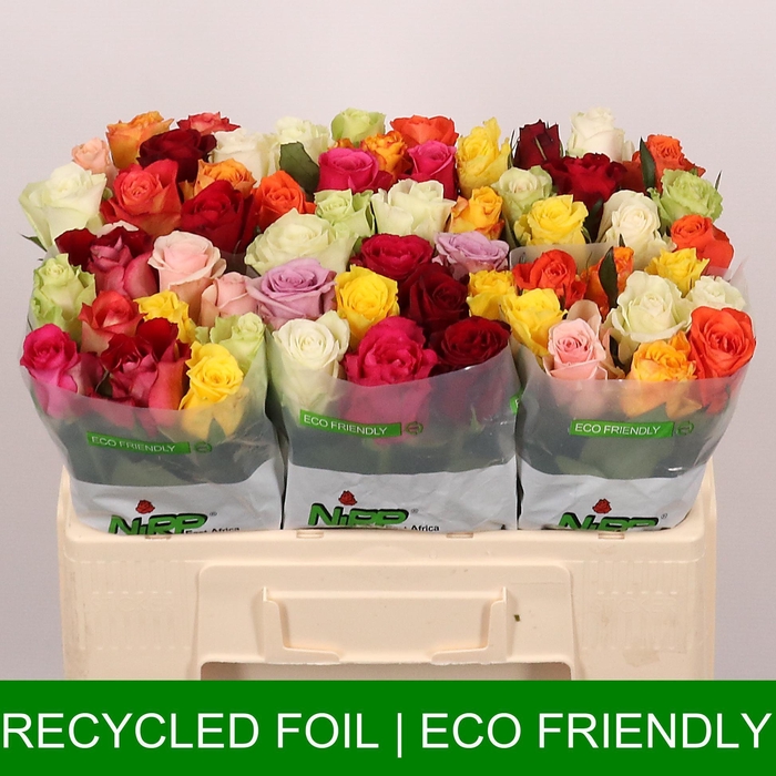 <h4>Gemengd in Bos</h4>