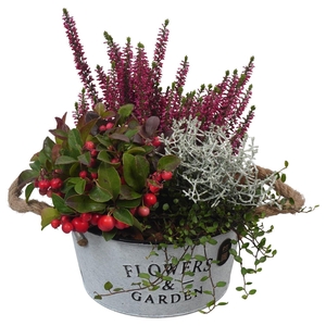 Arr.   Tuinplanten L%