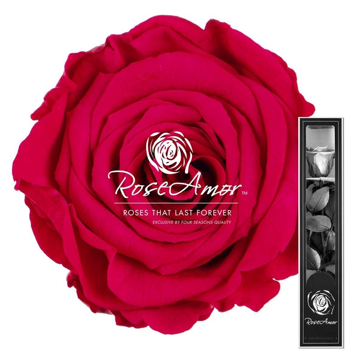 <h4>30cm Stem Pin03</h4>