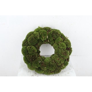WREATH BOL MOSS 45CM