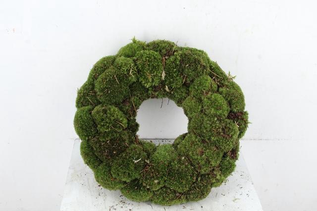 <h4>WREATH BOL MOSS 45CM</h4>