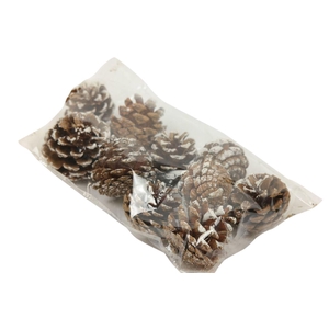 Pinecone Silvester 200g