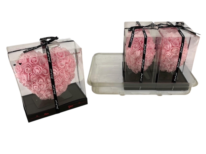 <h4>ARR ROSA POT H%</h4>