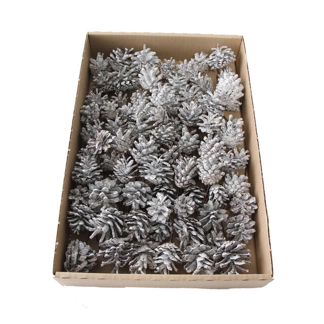 <h4>Silvester stone wash wit op draad - ds 75 st</h4>