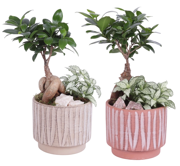 <h4>Yearround Arr. Indoor Ceramic Naturel Touch NT667 Ø14cm 2PP</h4>