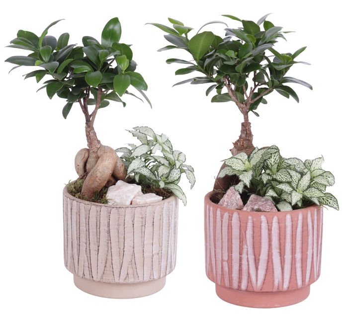 <h4>Yearround Arr. Indoor Ceramic Naturel Touch NT667 Ø14cm 2PP</h4>