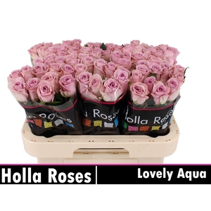 R GR LOVELY AQUA!