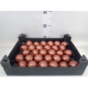 Decoratieve materialen   ...H%