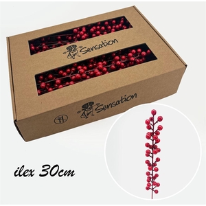 Zijde Berry Pick Medium Rood