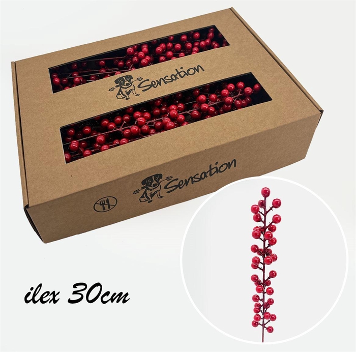 <h4>Zijde Berry Pick Medium Rood</h4>