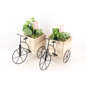 arr2 TD - Driewieler - roze/wit